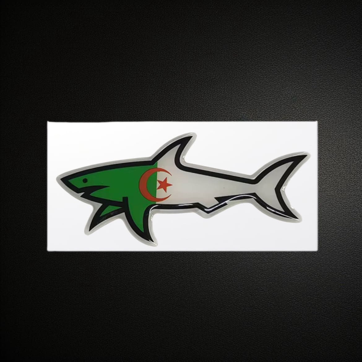 SHARK - ALGÉRIE
